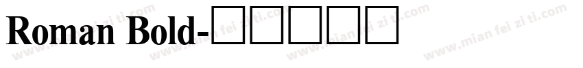 Roman Bold字体转换